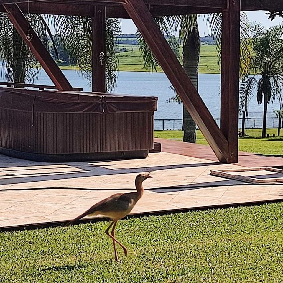 Imagens do imóveis sítio à venda em itaí, itaí 3 quartos