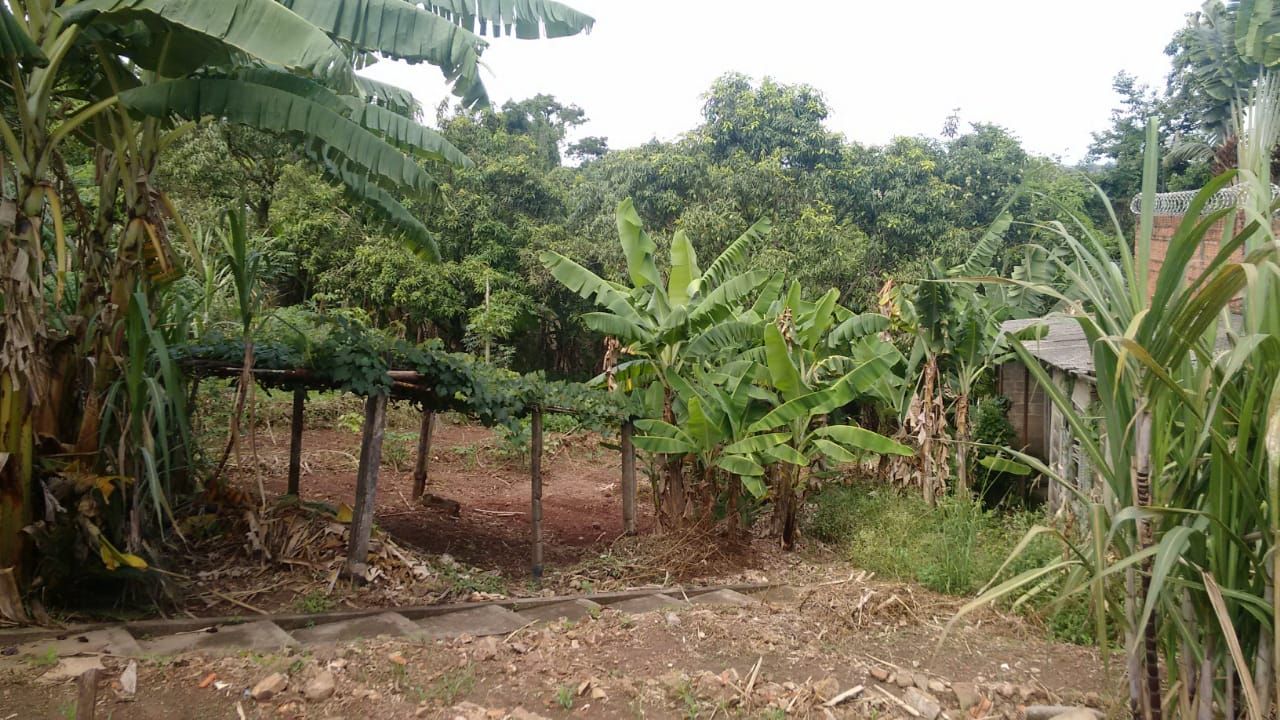 Imagens do imóveis chácara à venda em glebas california, piracicaba 4 quartos 2000m²