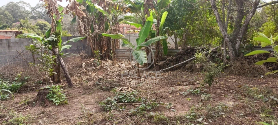 Fazenda/Sítios/Chácaras À Venda Serrote Piracicaba