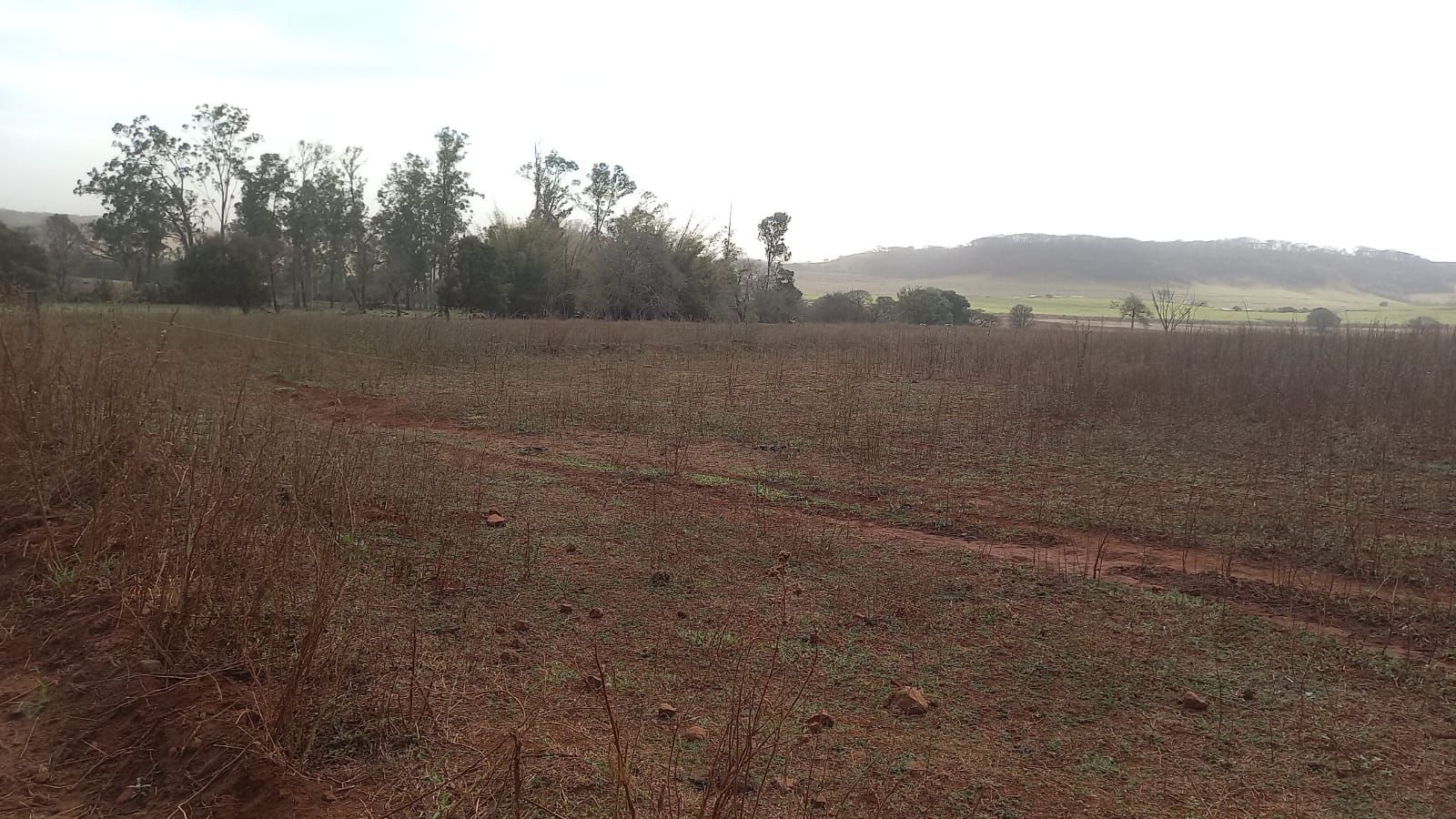 fazenda à venda em área rural de dourado, dourado 6 quartos