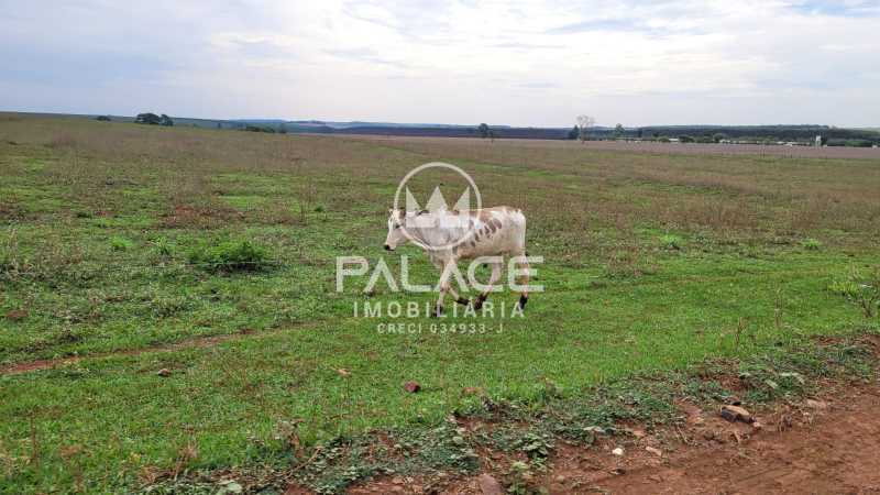 fazenda à venda em área rural de dourado, dourado 6 quartos