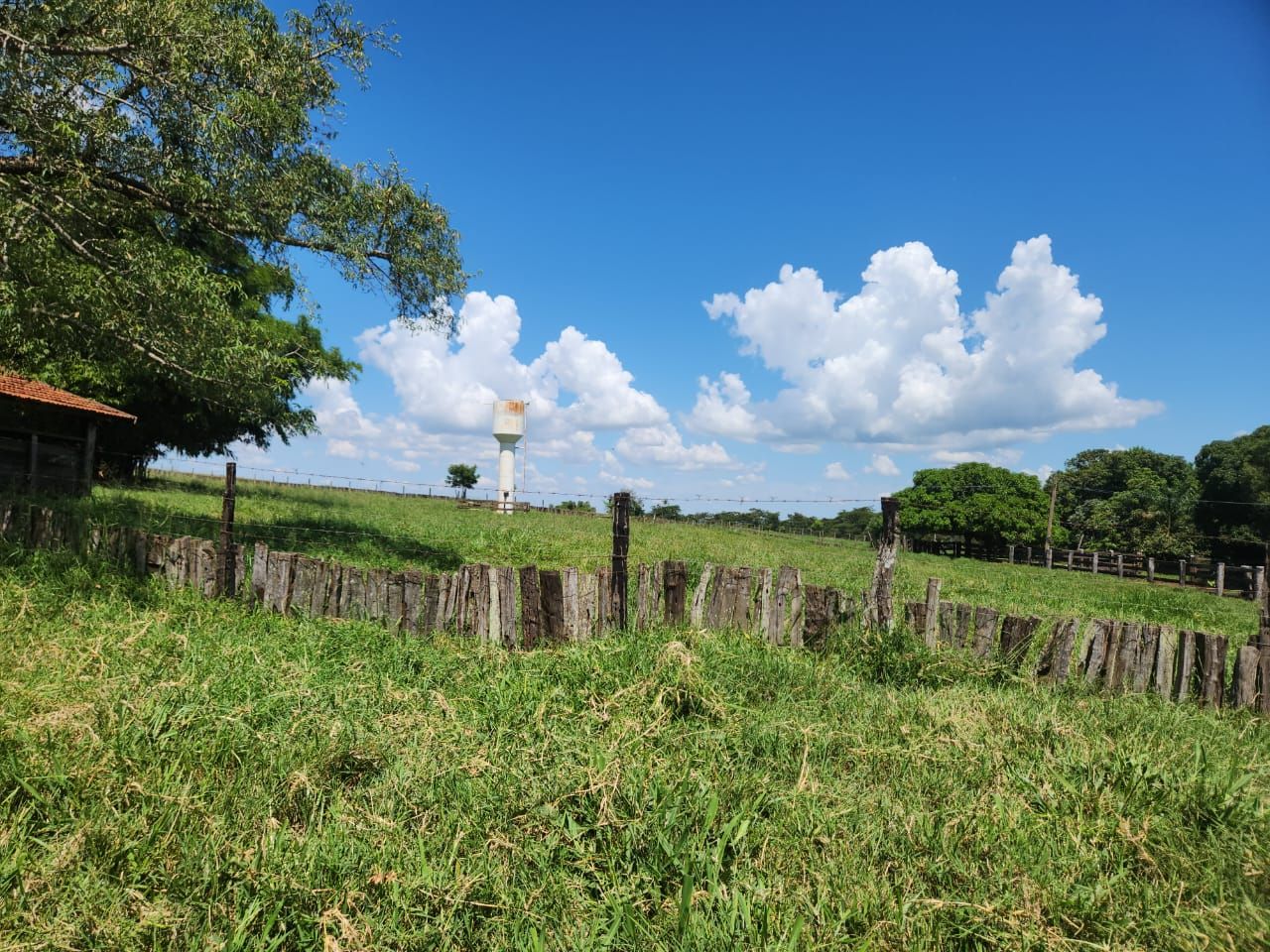 fazenda à venda em zona rural, santo antônio do aracanguá 4 quartos