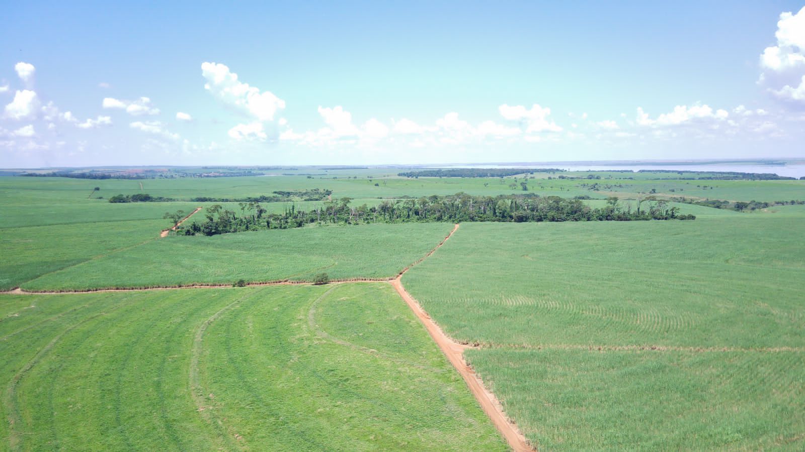 fazenda à venda em zona rural, santo antônio do aracanguá 4 quartos