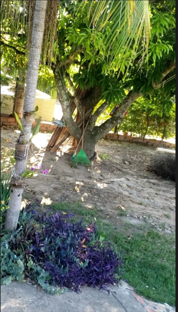 Imagens do imóveis chácara à venda em zona rural, conchas 3 quartos