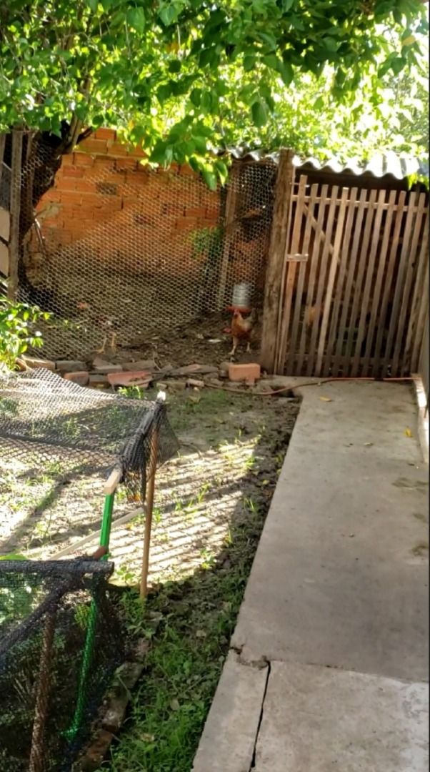 Imagens do imóveis chácara à venda em zona rural, conchas 3 quartos