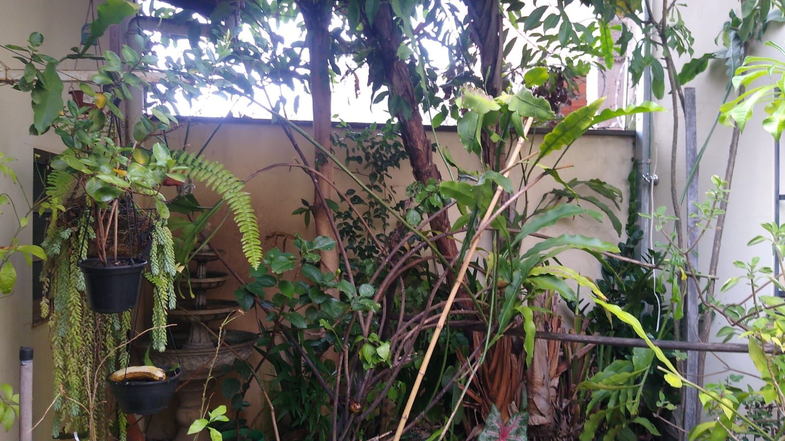 Imagens do imóveis casa à venda em água branca, piracicaba 3 quartos 222m²