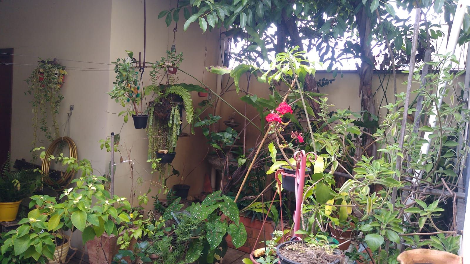 Imagens do imóveis casa à venda em água branca, piracicaba 3 quartos 222m²