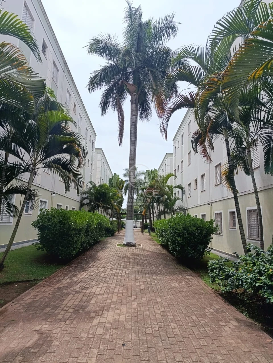 Apartamento À Venda Condomínio Piazza Republica Piracicaba