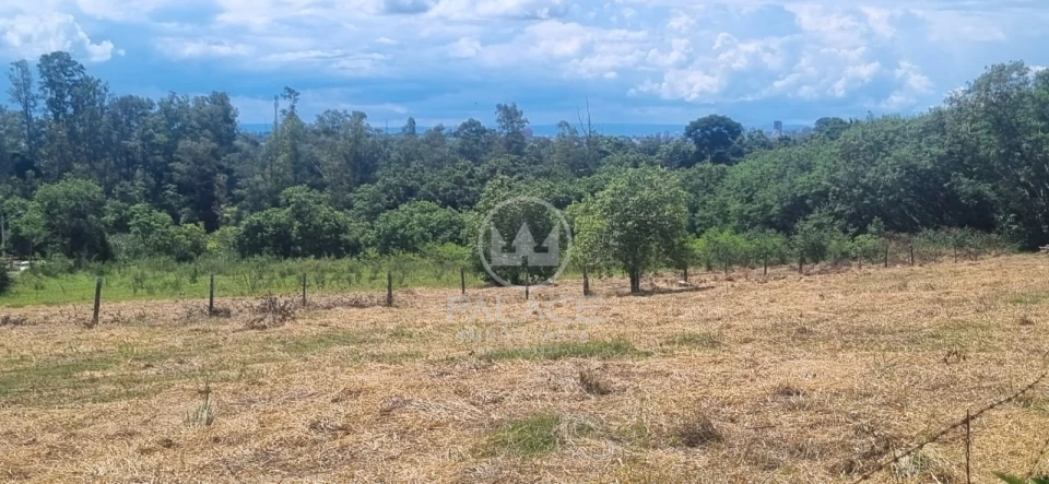 Excelente área para indústrias e transportadoras de grande porte