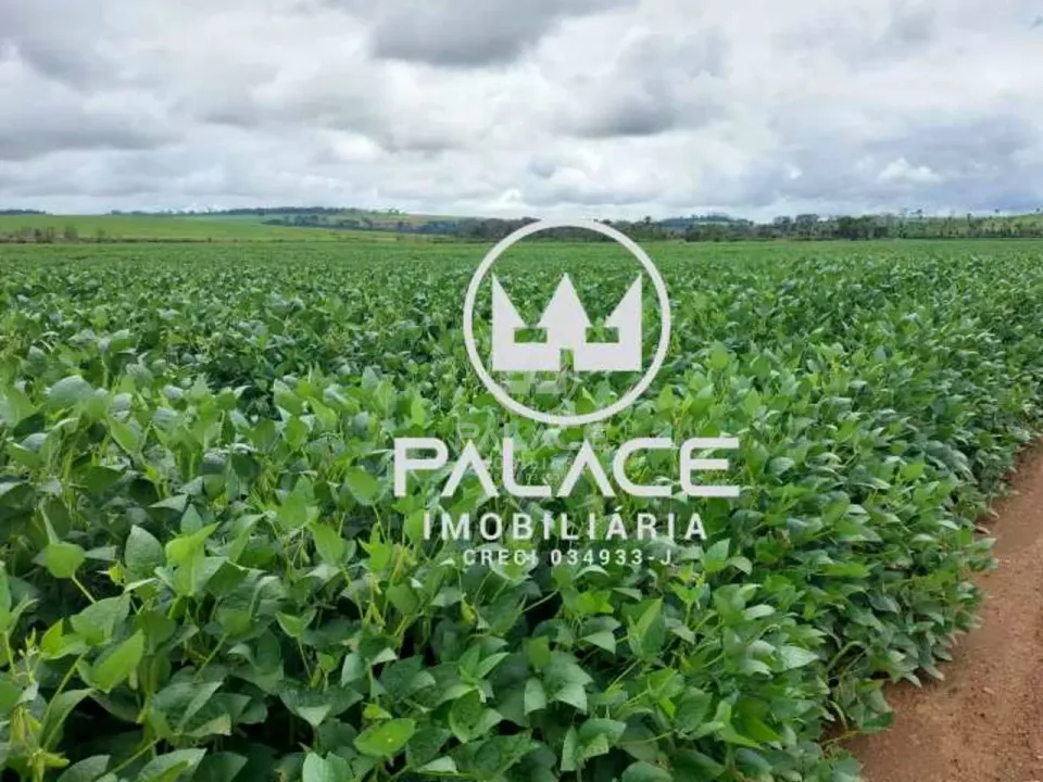 Fazenda, sítio ou chácara à venda em Zona Rural, Tambaú - foto 8