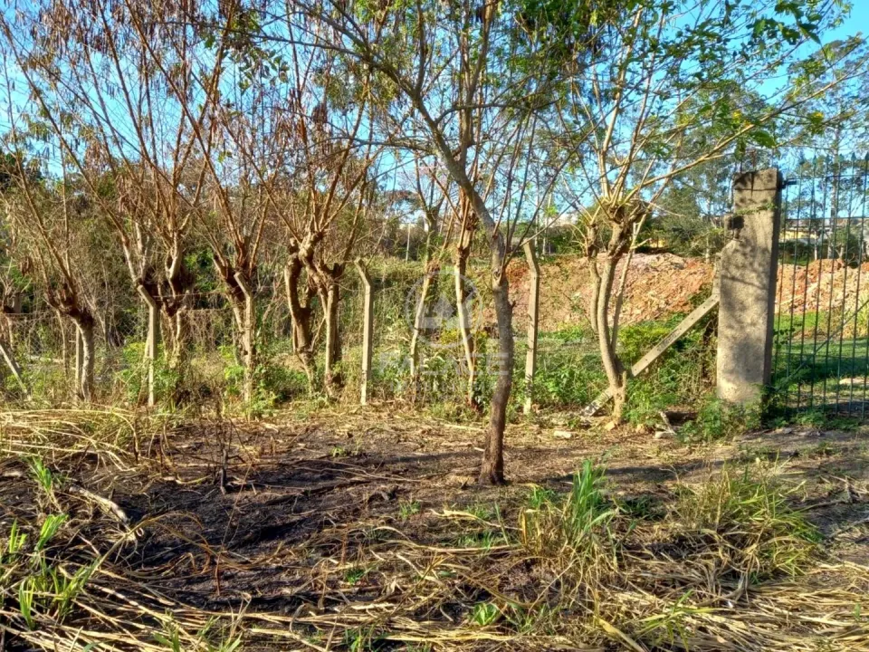 Terreno à venda em Chácara São Jorge, Piracicaba - foto 8