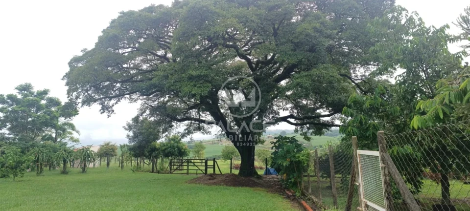 Exuberante Sitio na Piracicaba/Anhumas