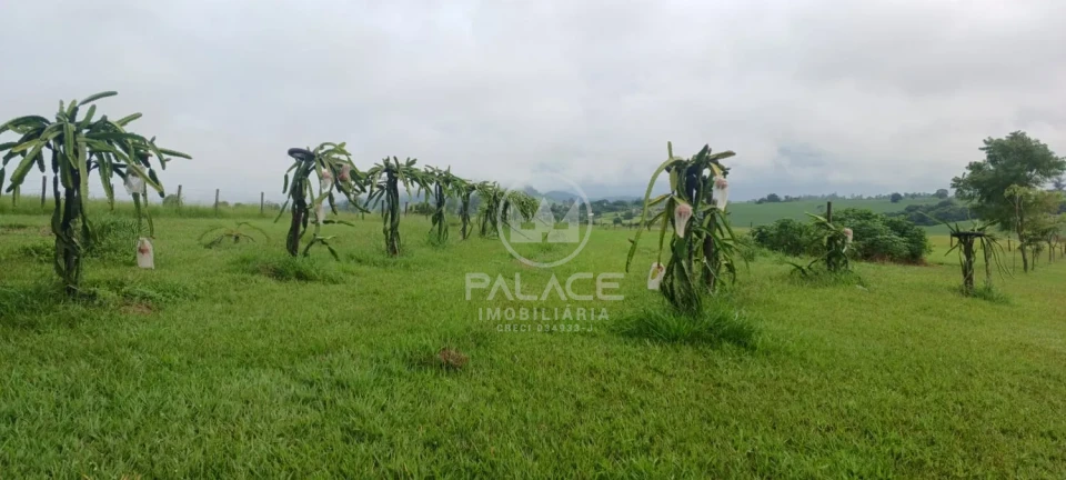 Exuberante Sitio na Piracicaba/Anhumas