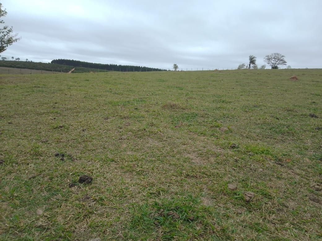 Imagens do imóveis sítio à venda em colinas de santa izabel, piracicaba