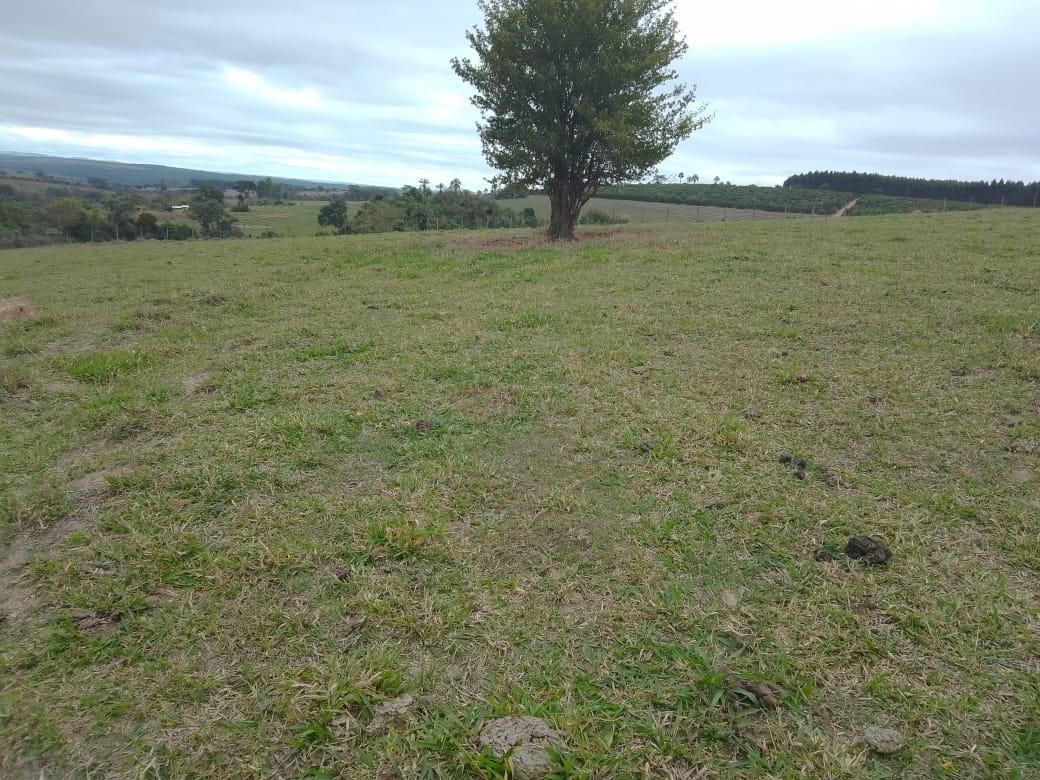 Imagens do imóveis sítio à venda em colinas de santa izabel, piracicaba