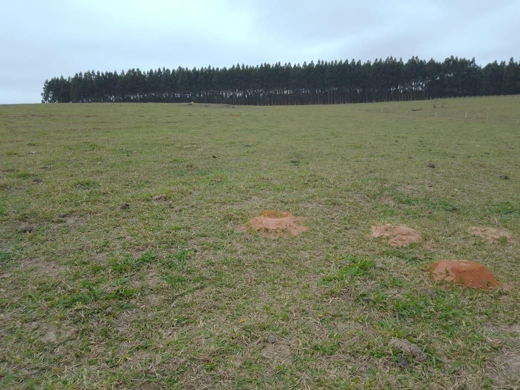 Imagens do imóveis sítio à venda em colinas de santa izabel, piracicaba