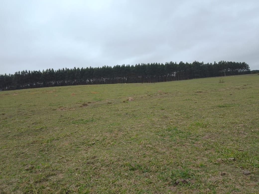 Imagens do imóveis sítio à venda em colinas de santa izabel, piracicaba