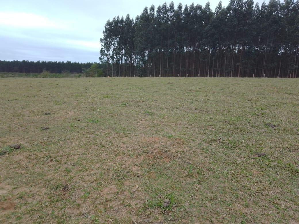 Imagens do imóveis sítio à venda em colinas de santa izabel, piracicaba