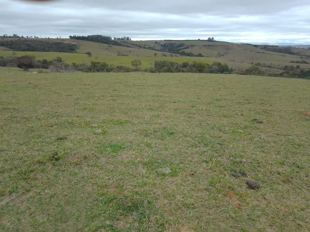 Imagens do imóveis sítio à venda em colinas de santa izabel, piracicaba