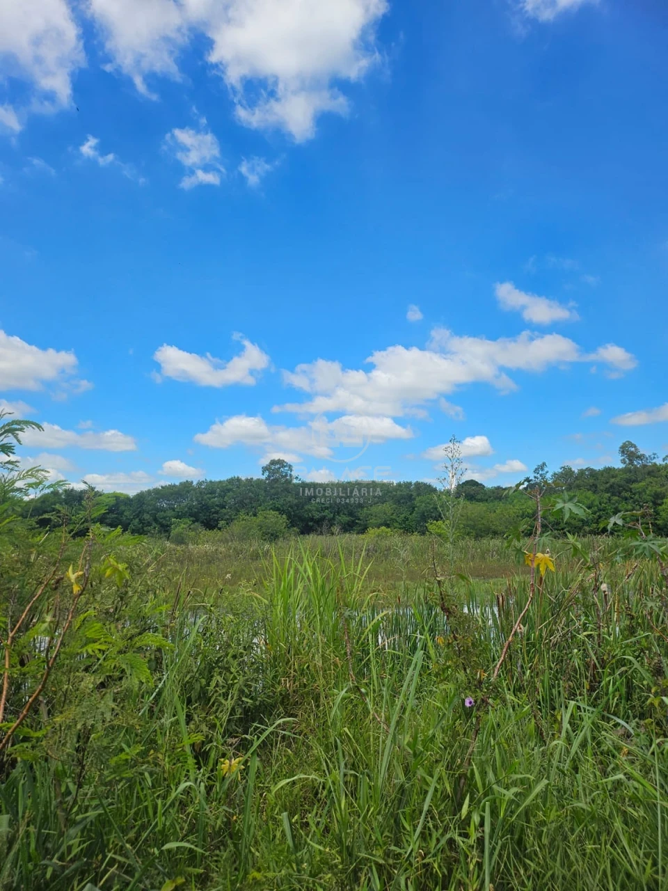Terreno À Venda Campestre Piracicaba - Foto 1