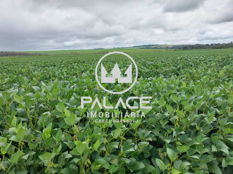 fazenda à venda em zona rural, tambaú 1718200m²