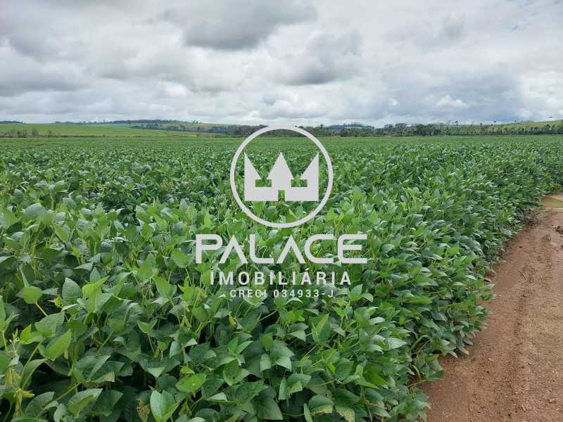 fazenda à venda em zona rural, tambaú 1718200m²