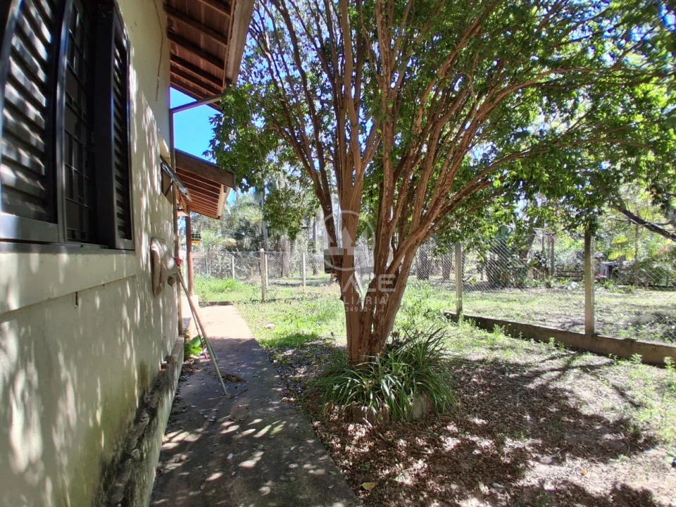 Fazenda/Sítios/Chácaras no Vertente das aguas, São Pedro — foto 19 de 20