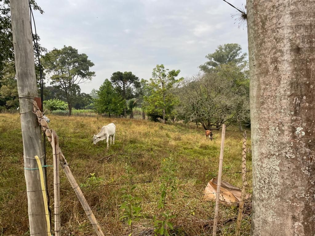 Imagens do imóveis chácara à venda em tupi, piracicaba 2 quartos