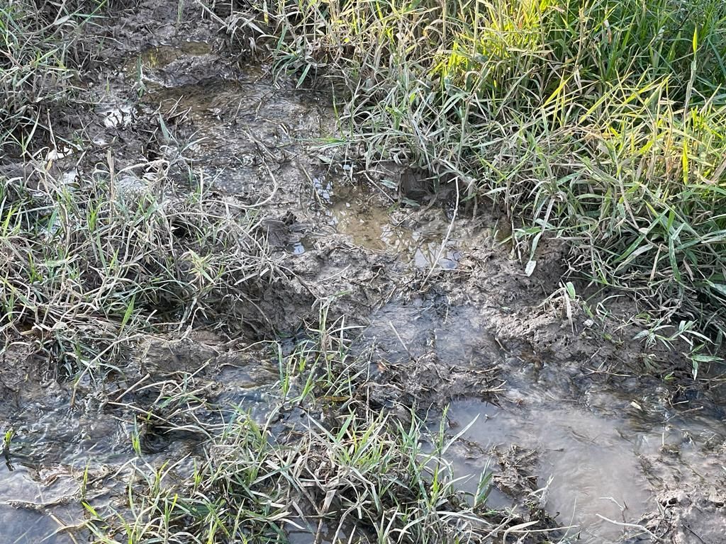 Imagens do imóveis chácara à venda em tupi, piracicaba 2 quartos