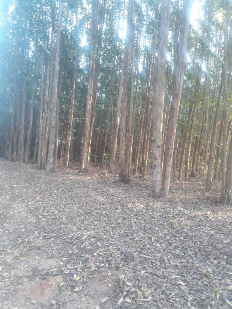 Imagens do imóveis terreno residencial à venda em tanquã, são pedro