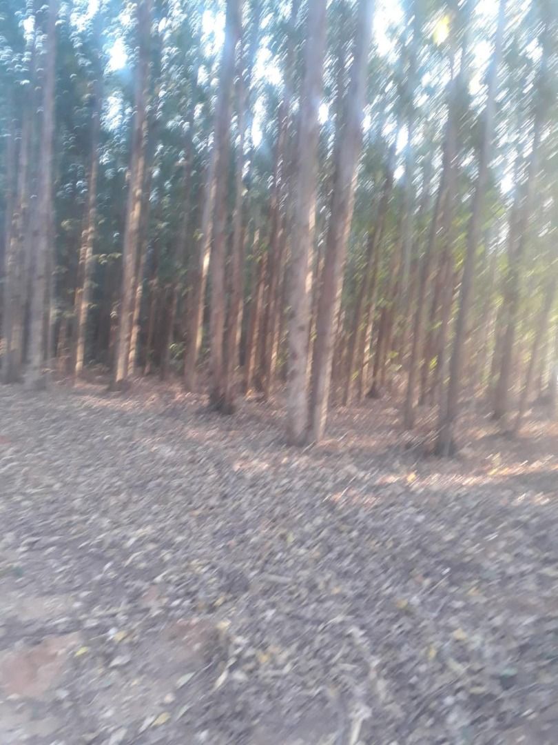 Imagens do imóveis terreno residencial à venda em tanquã, são pedro