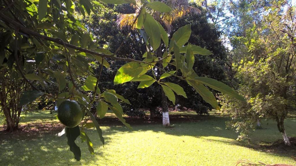 Imagens do imóveis chácara à venda em santana, são pedro 4 quartos