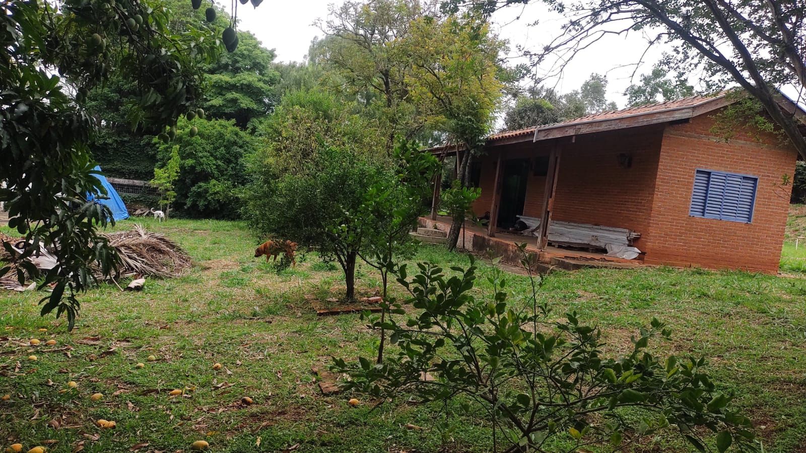 Imagens do imóveis chácara para venda e aluguel em campestre, piracicaba 4 quartos