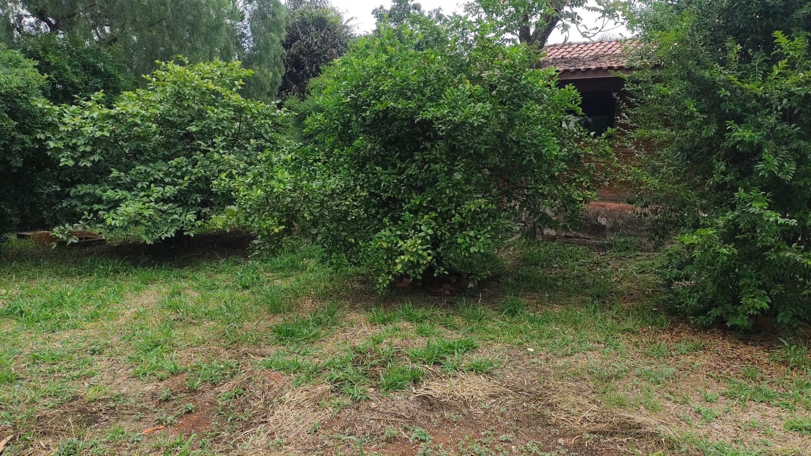 Imagens do imóveis chácara para venda e aluguel em campestre, piracicaba 4 quartos