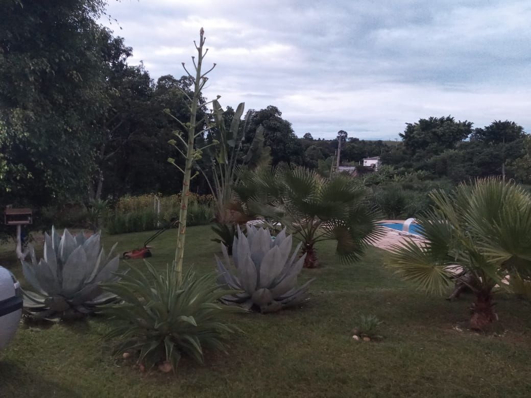 Imagens do imóveis chácara à venda em área rural de cosmópolis, cosmópolis 3 quartos