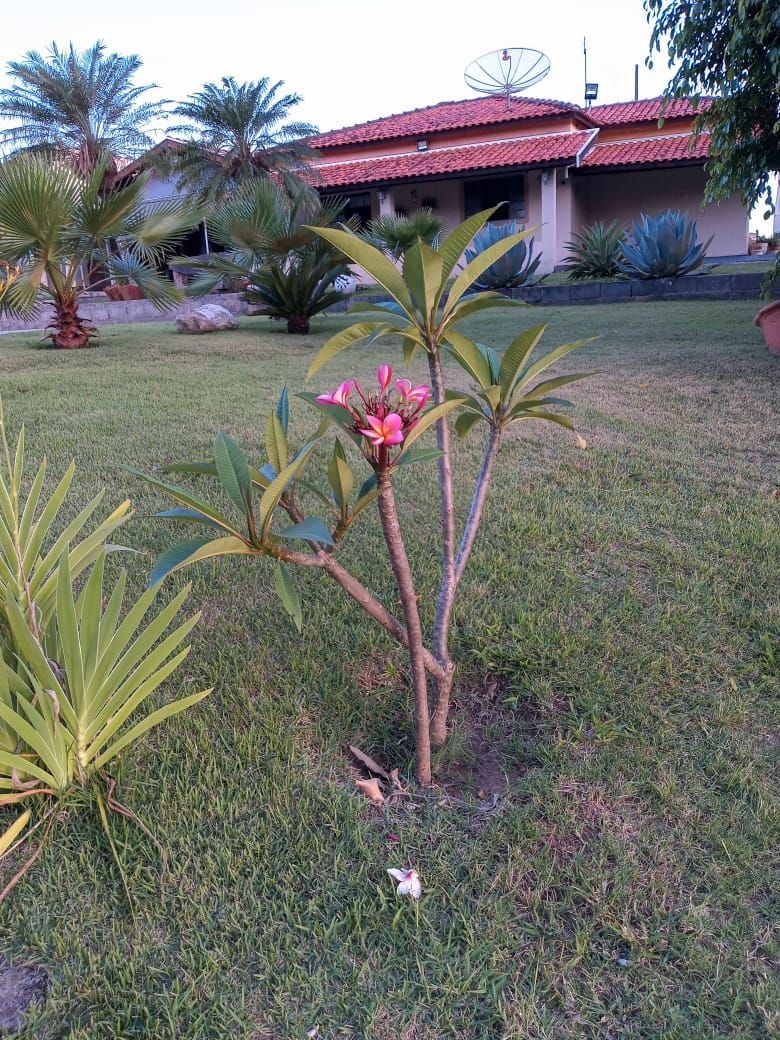Imagens do imóveis chácara à venda em área rural de cosmópolis, cosmópolis 3 quartos