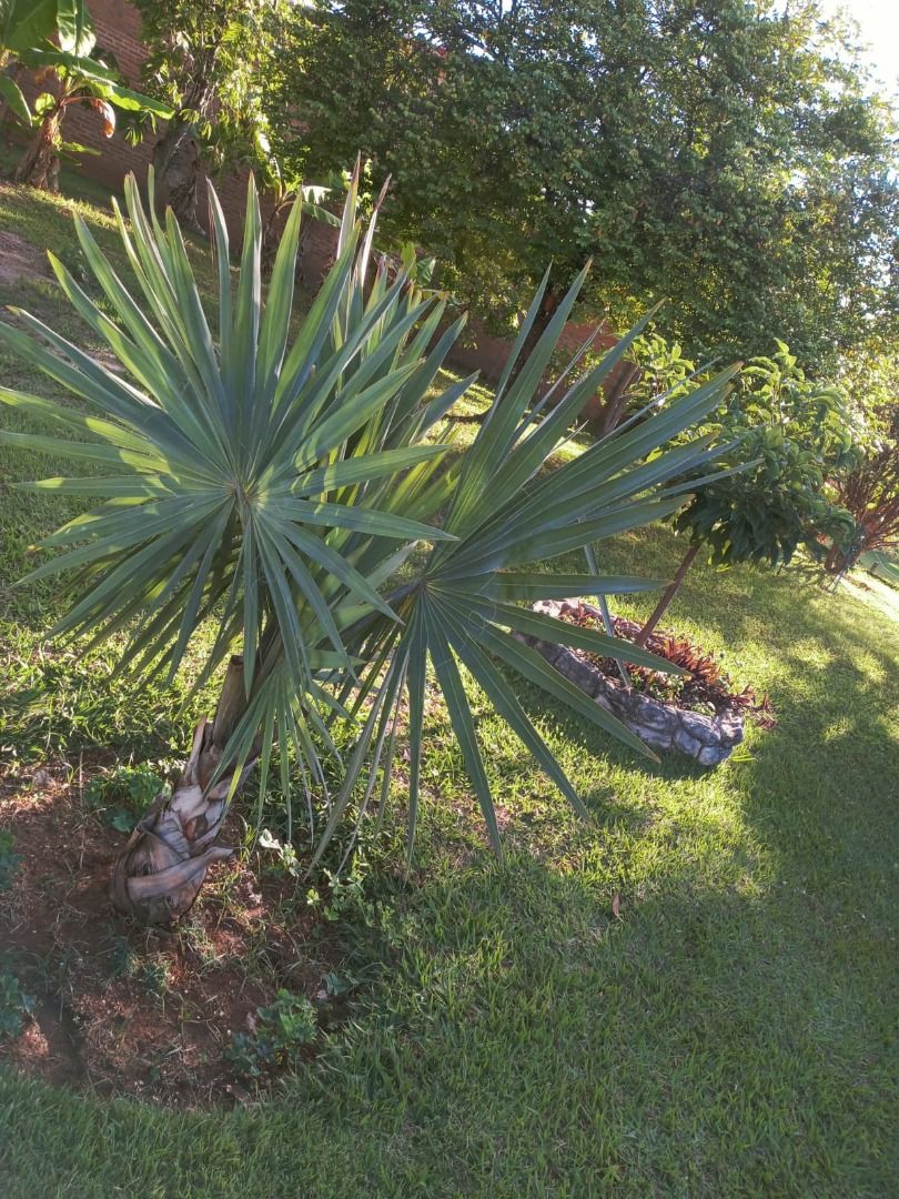 Imagens do imóveis chácara à venda em área rural de cosmópolis, cosmópolis 3 quartos