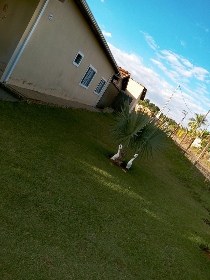 Imagens do imóveis chácara à venda em área rural de cosmópolis, cosmópolis 3 quartos