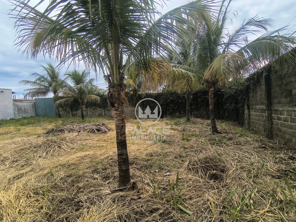 Terreno À Venda Jardim São Pedro São Pedro