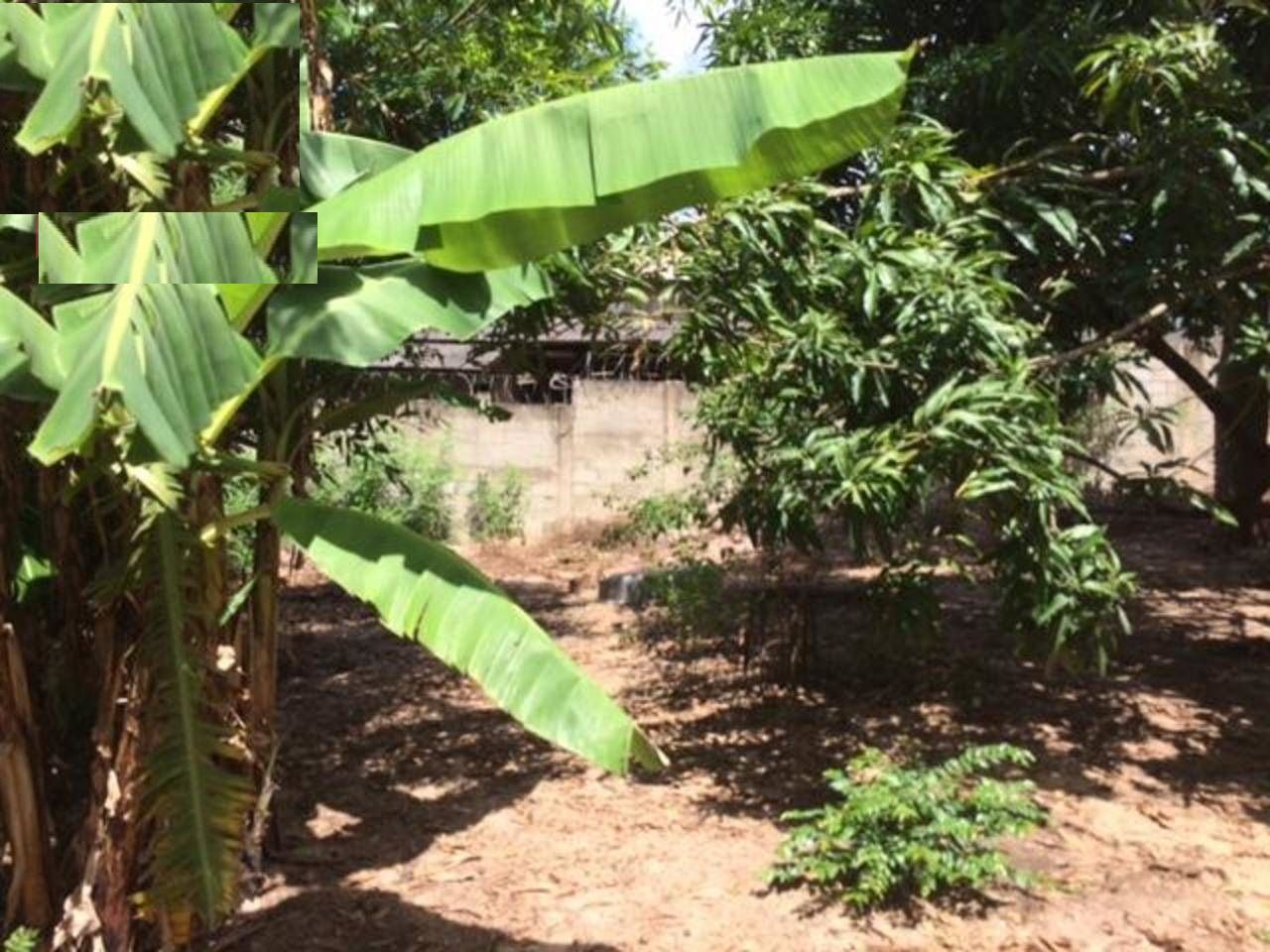 Imagens do imóveis terreno residencial à venda em vila industrial, piracicaba 2300m²