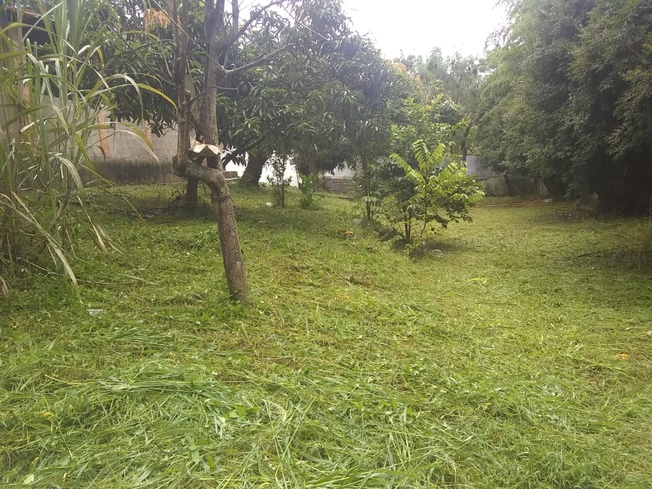 Imagens do imóveis chácara à venda em artemis, piracicaba 2 quartos