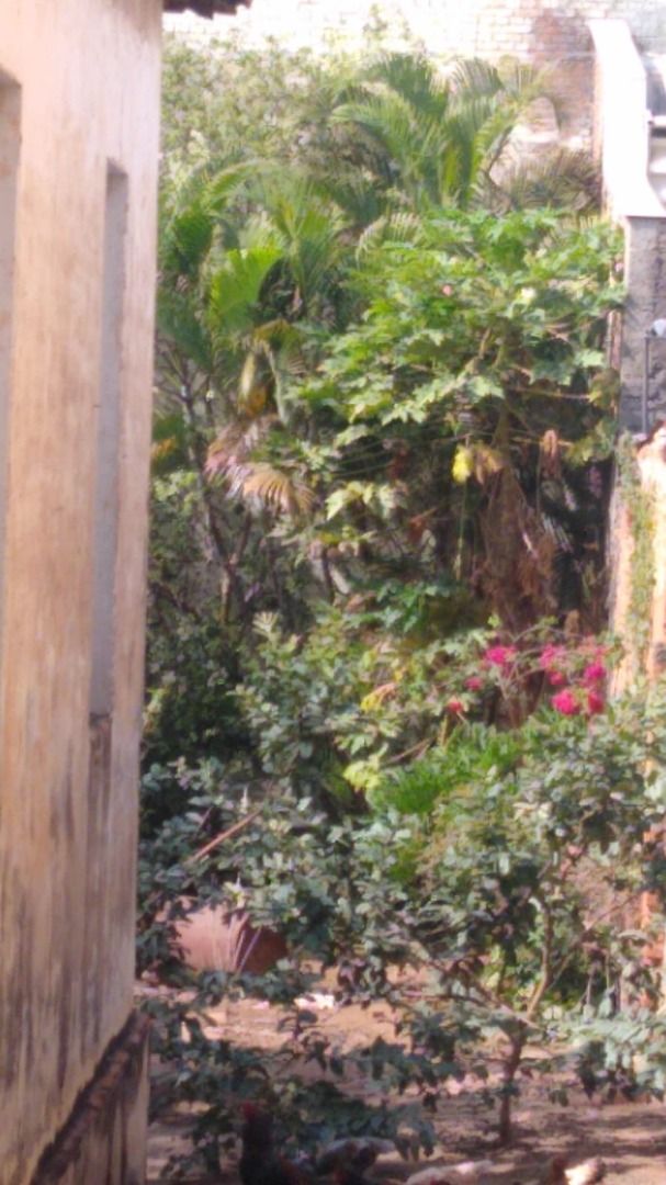 Imagens do imóveis salão à venda em paulista, piracicaba 201m²