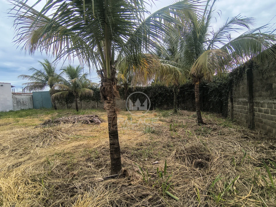 Terreno À Venda Jardim São Pedro São Pedro