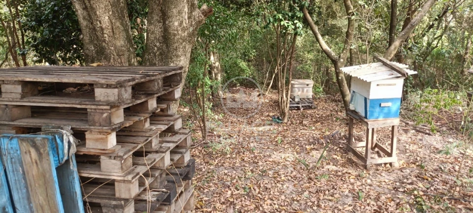 Fazenda/Sítios/Chácaras À Venda Serrote Piracicaba