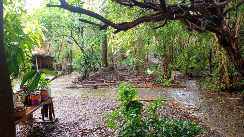 Casa 4 quartos à venda em Centro, Piracicaba - foto 4