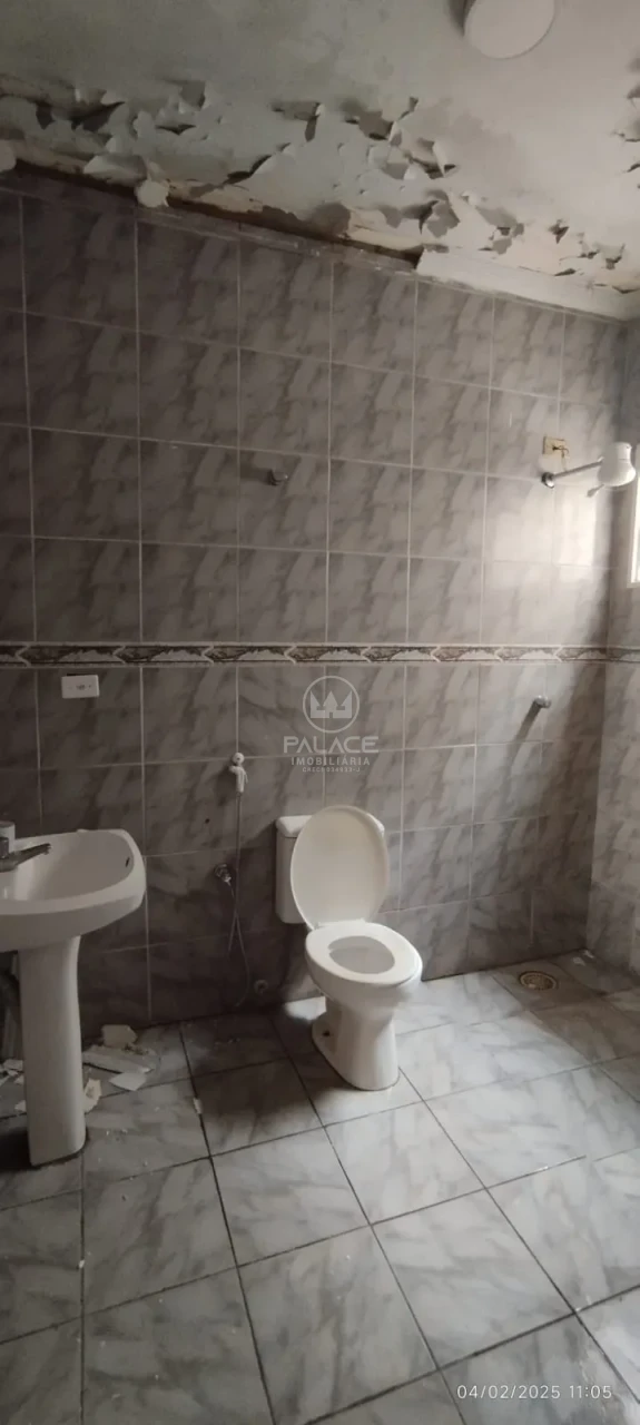 Apartamento Para Alugar Centro Piracicaba