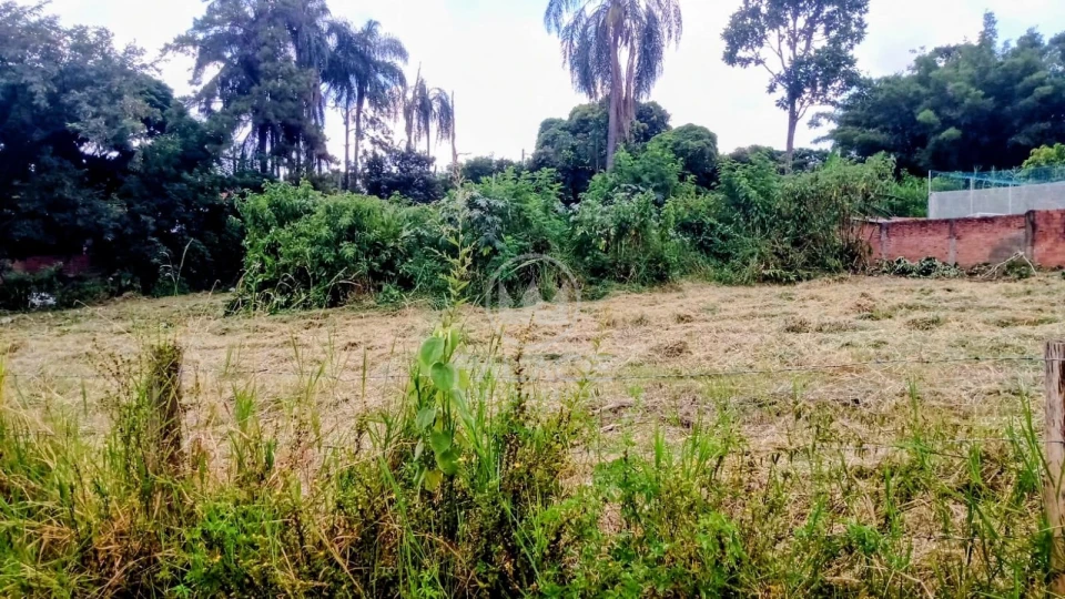terreno diponivel para locação