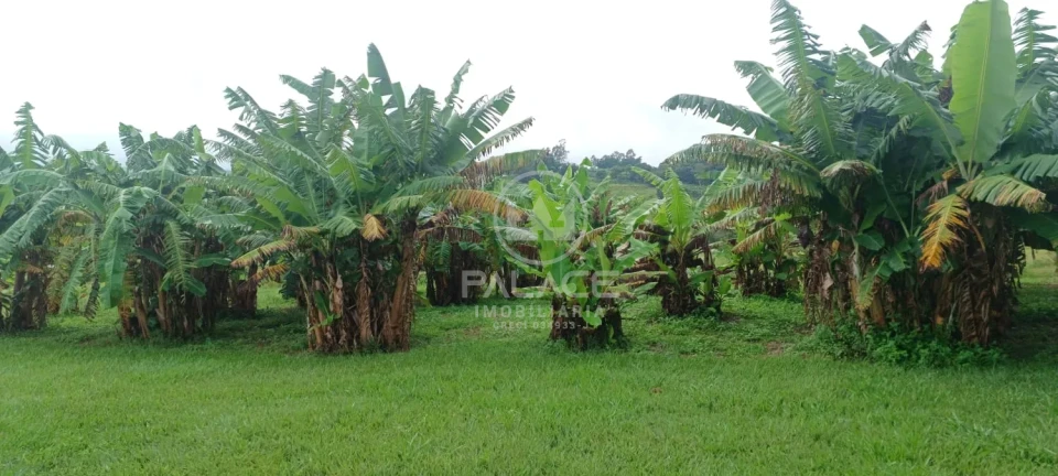 Exuberante Sitio na Piracicaba/Anhumas