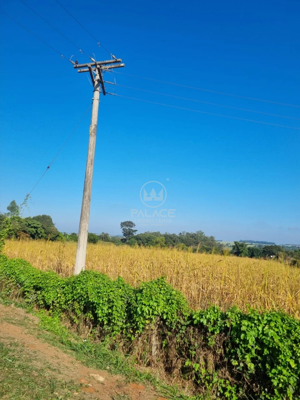 Terreno À Venda Campestre Piracicaba - Foto 10