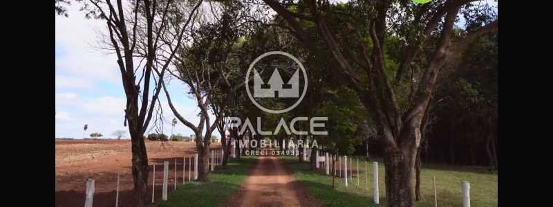 Imagens do imóveis fazenda à venda em centro, avaré 4 quartos 919600m²